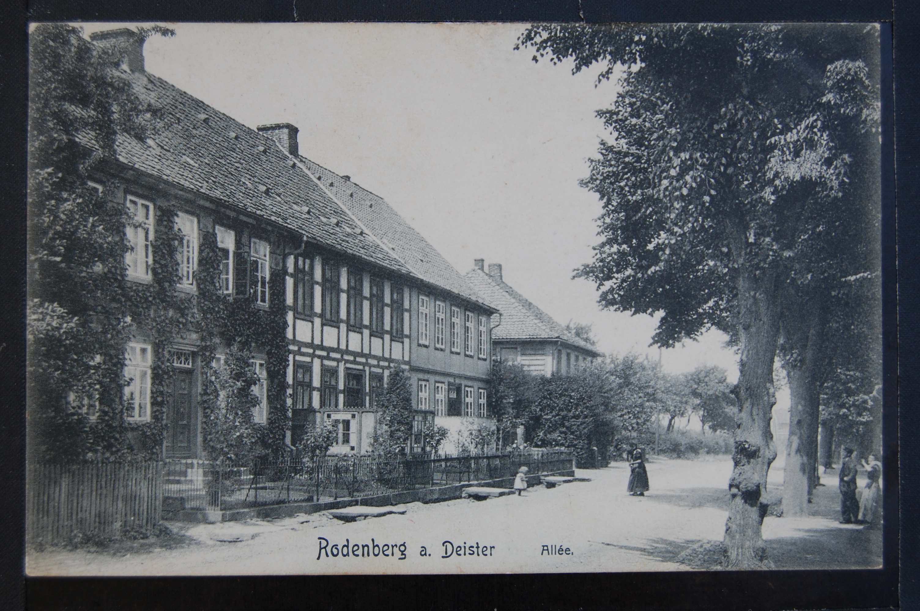 AK Rodenberg, Blick auf Allee 1908 (Museumslandschaft Amt Rodenberg e.V. CC BY-NC-SA)