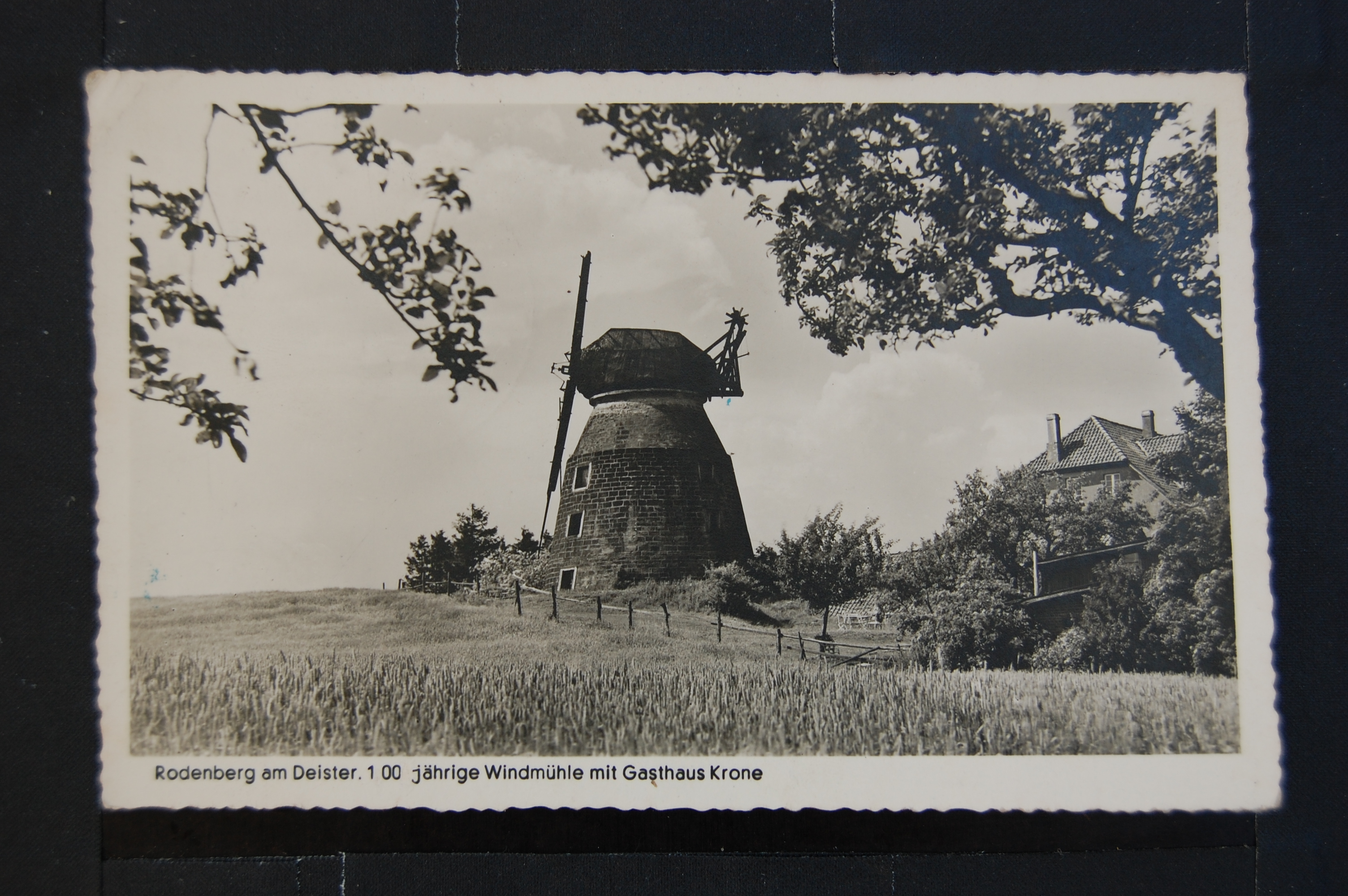 AK Rodenberg, Windmühle 1951 (Museumslandschaft Amt Rodenberg e.V. CC BY-NC-SA)
