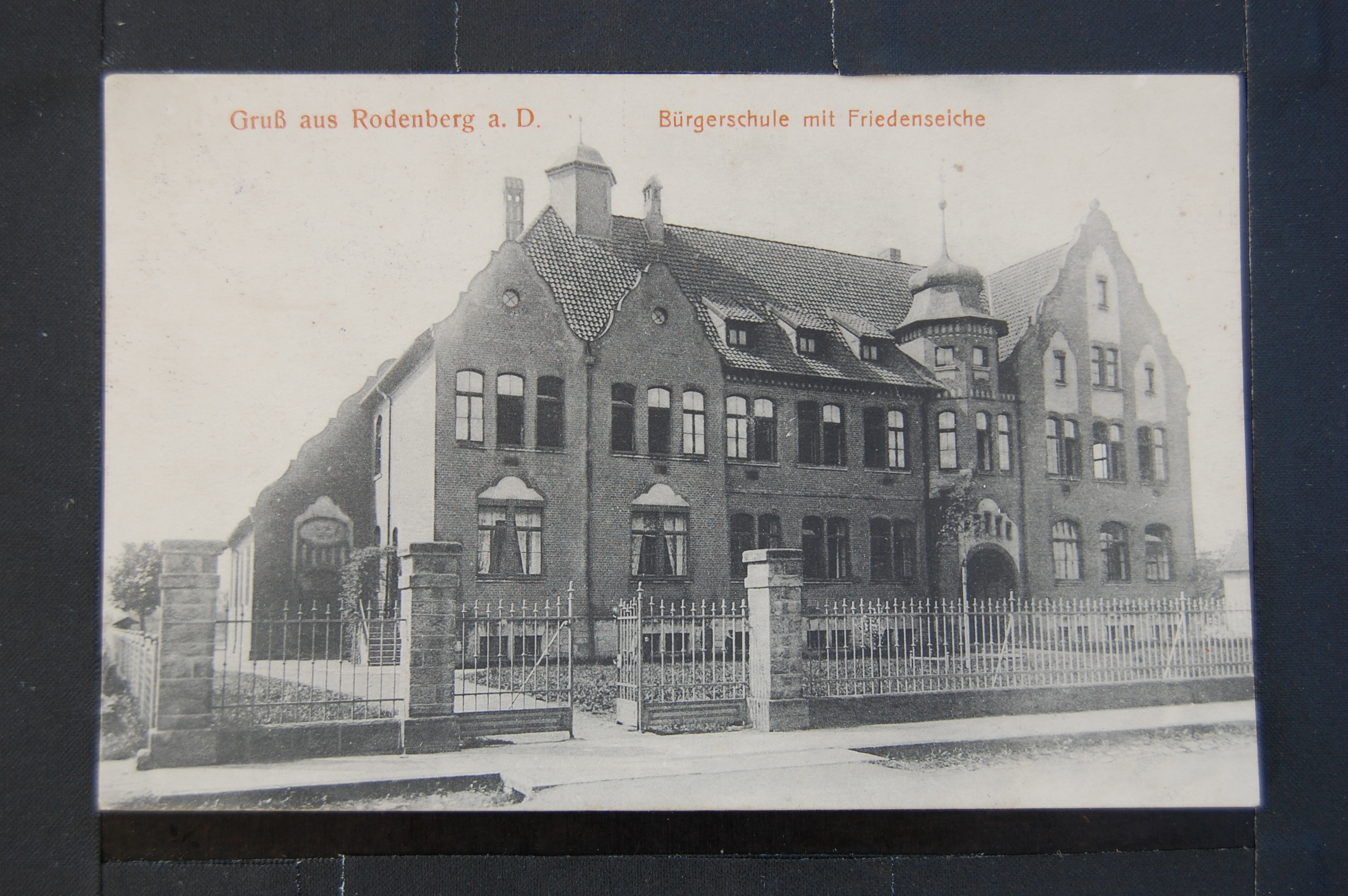 AK Rodenberg Bürgerschule mit Friedenseiche1918 (Museumslandschaft Amt Rodenberg e.V. CC BY-NC-SA)