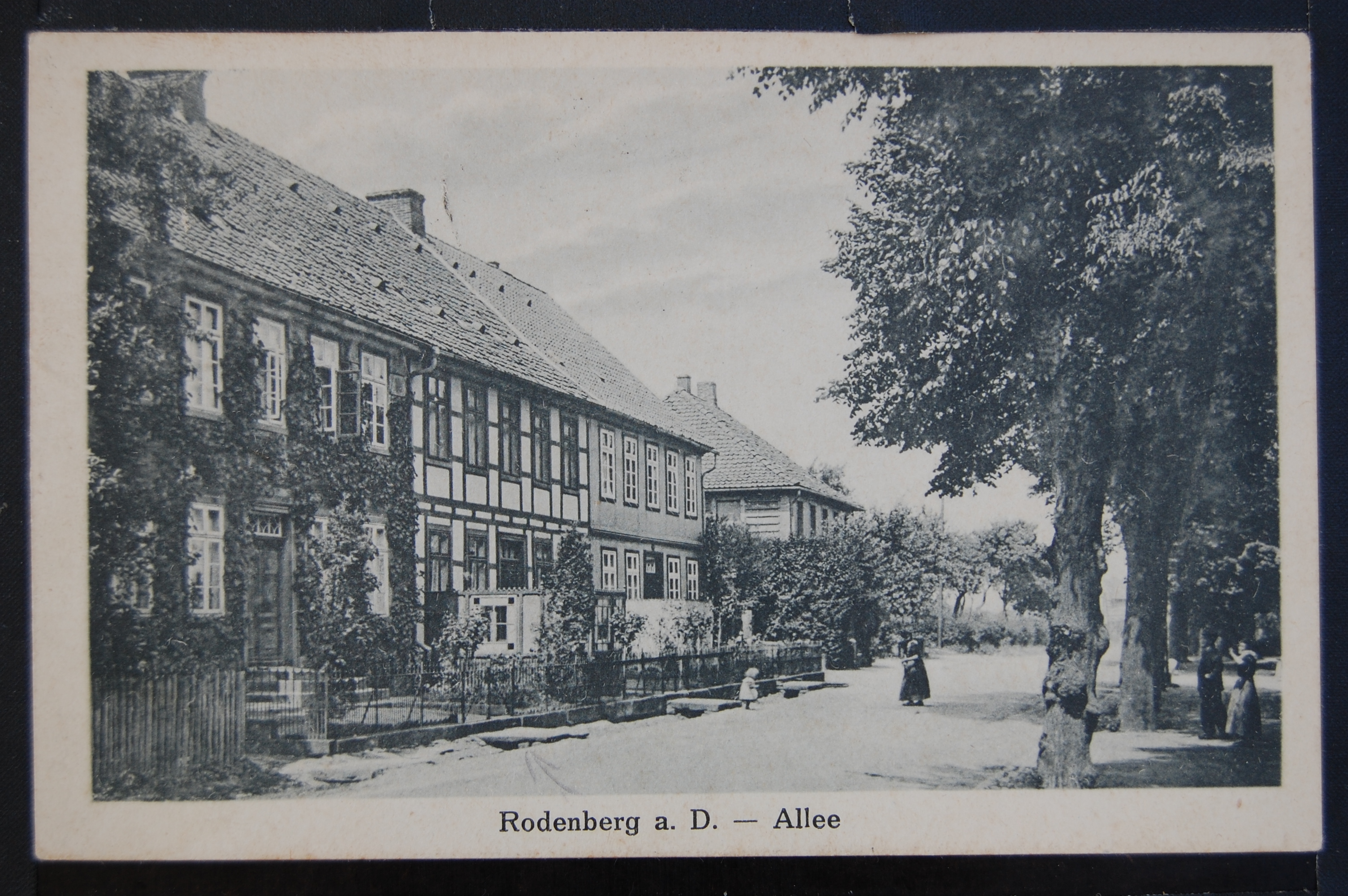 AK Rodenberg, Blick auf Allee 1923 (Museumslandschaft Amt Rodenberg e.V. CC BY-NC-SA)