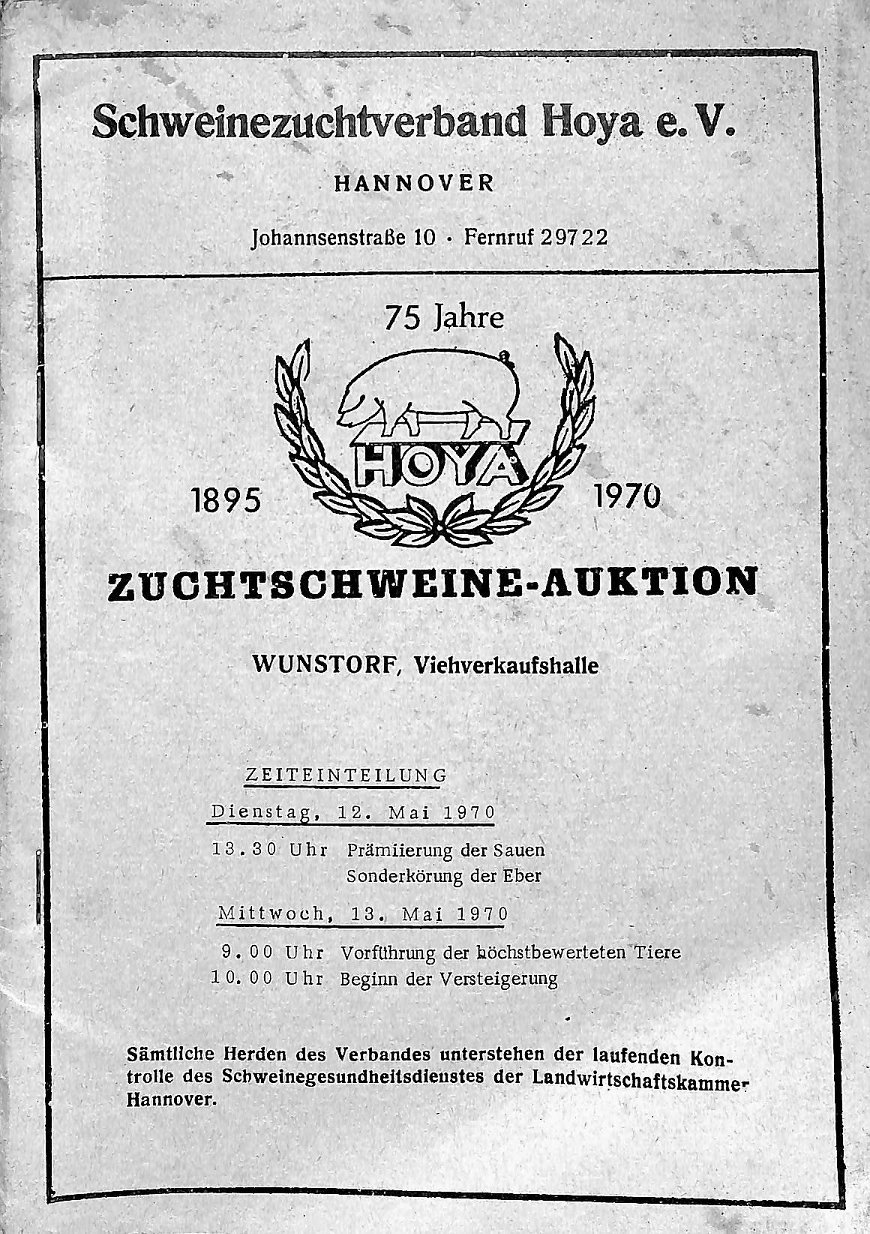 Zuchtschweine-Auktion. Wunsdorf, Viehverkaufshalle. Schweinezuchtverband Hoya e.V., Hannover, 1970. (Kreismuseum Syke CC BY-NC-SA)