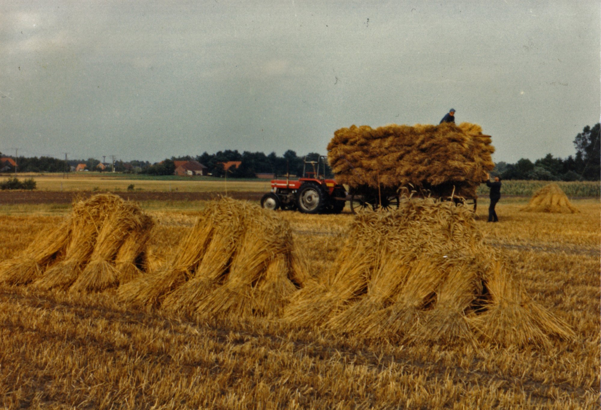 Getreideernte mit Mähbinder (Kreismuseum Syke CC BY-NC-SA)