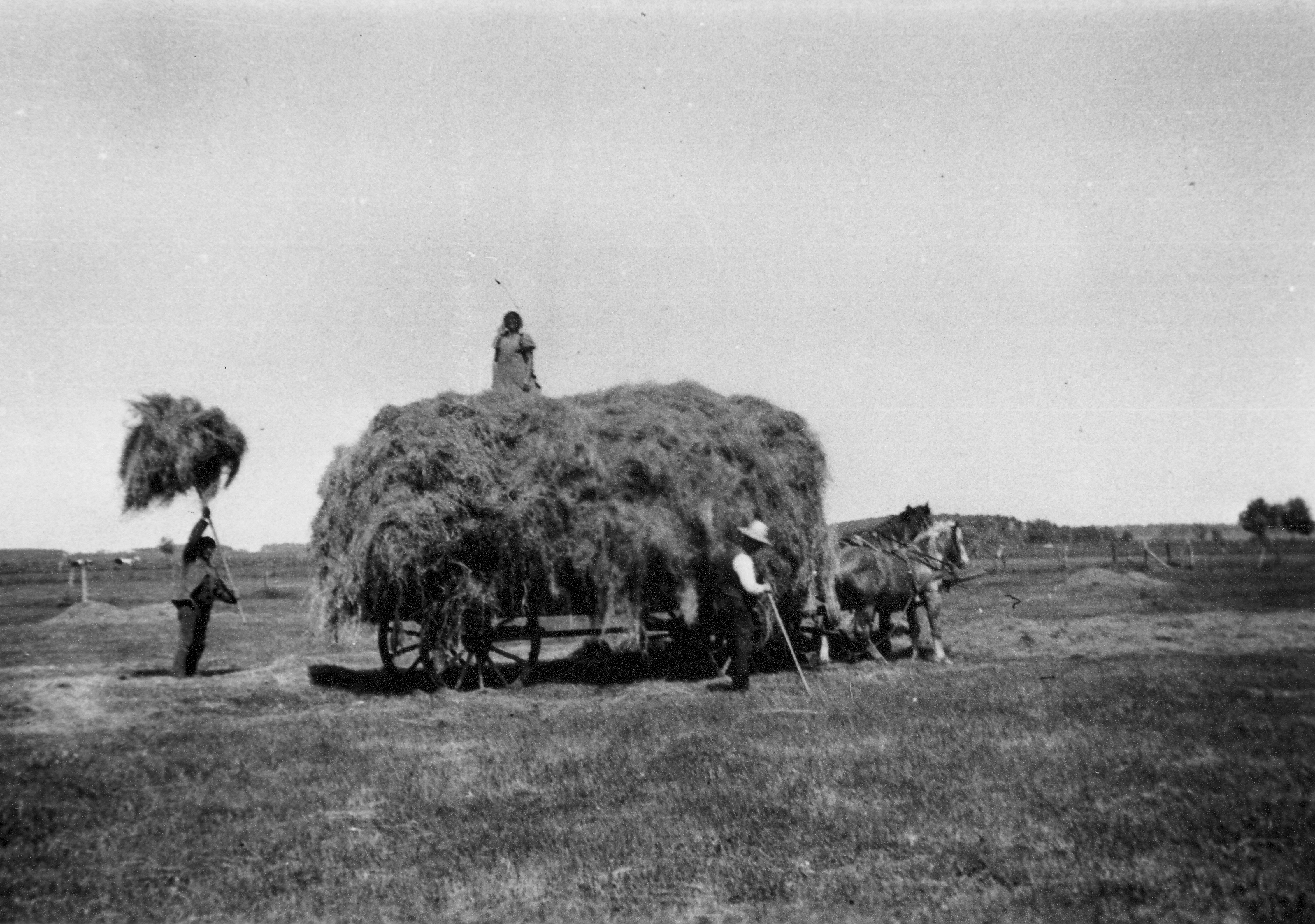 Landwirtschaft früher (Kreismuseum Syke CC BY-NC-SA)