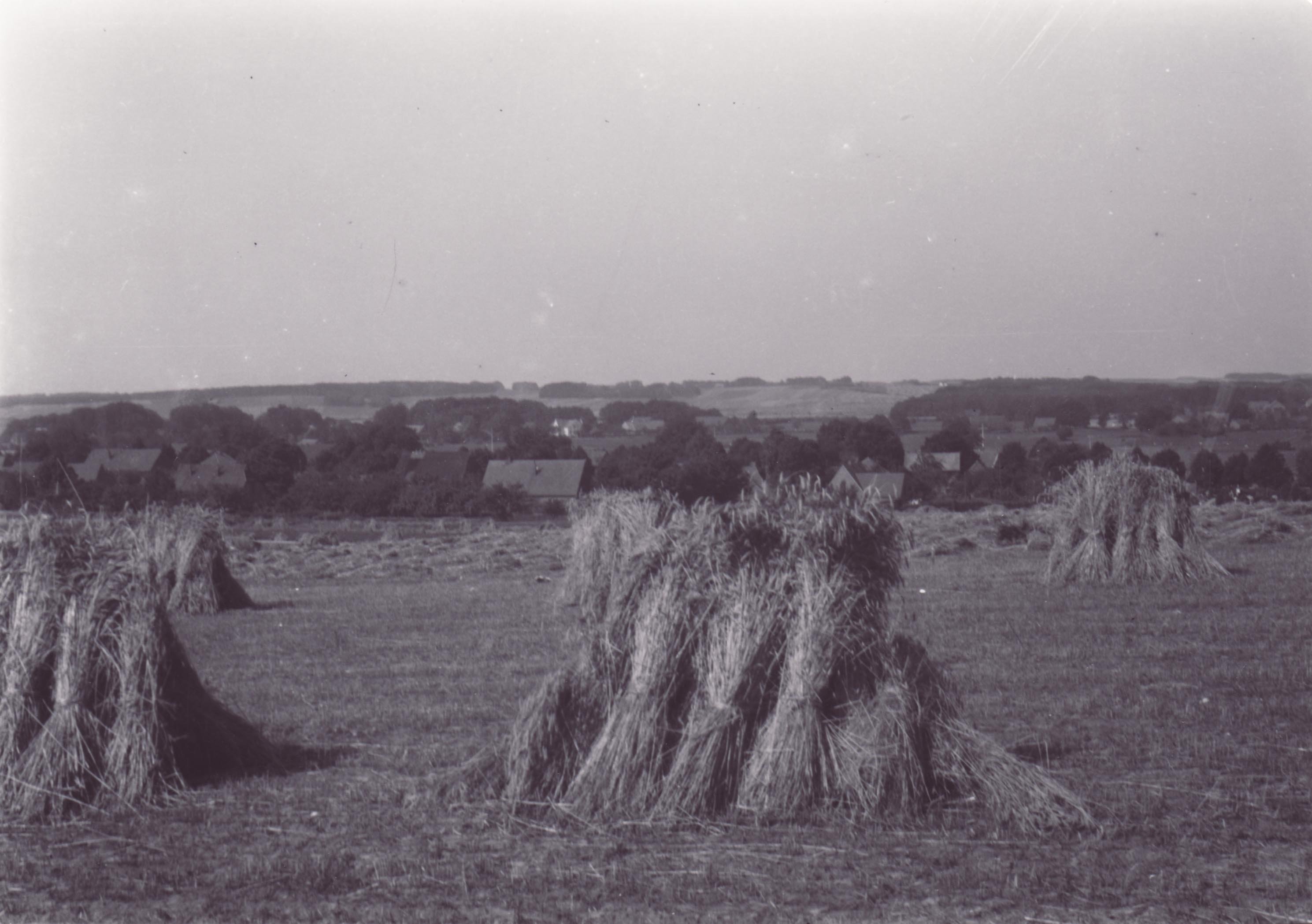 Landwirtschaft vor 60 Jahren (Kreismuseum Syke CC BY-NC-SA)