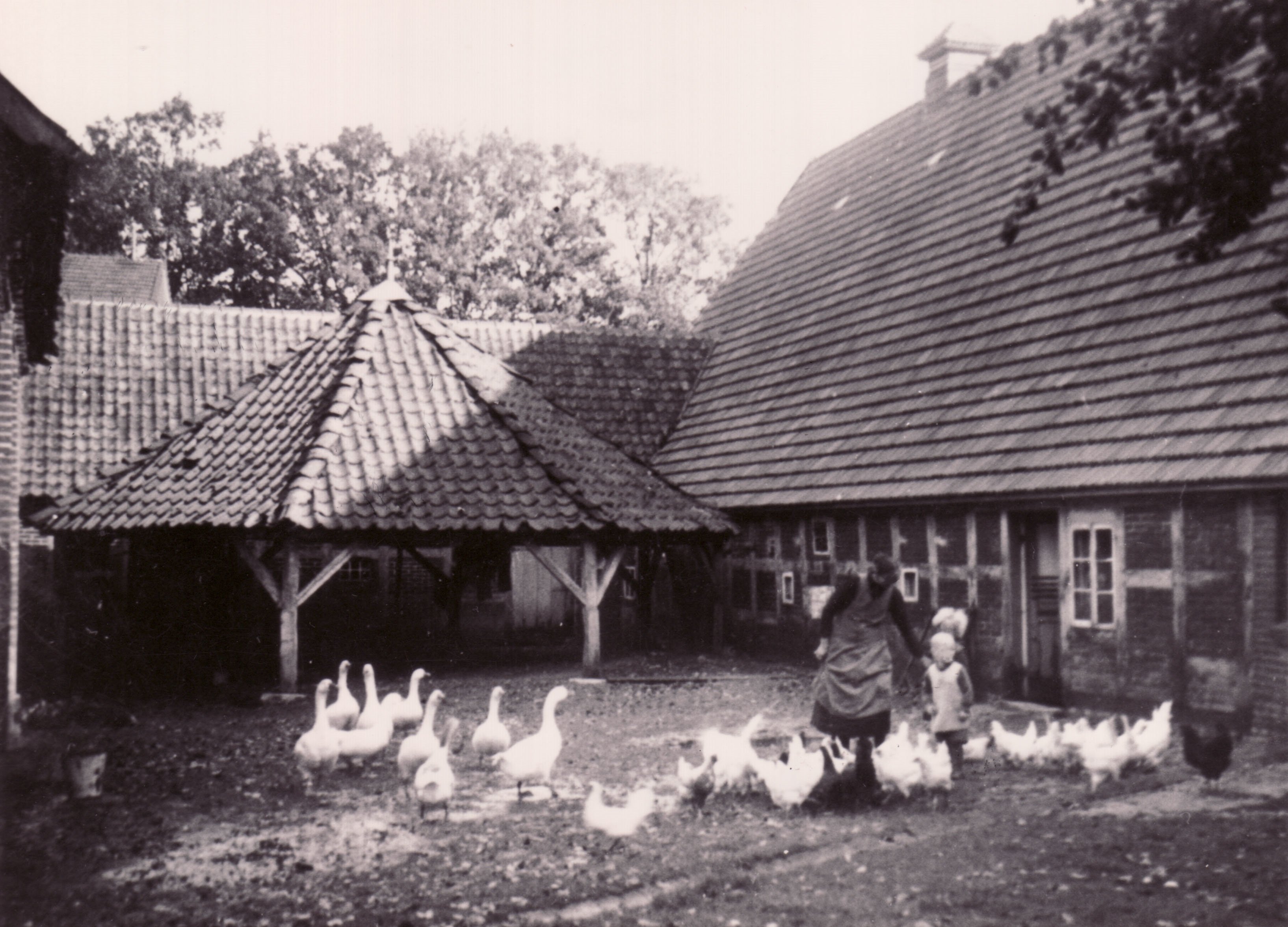Göpelhaus, Hof Beuke-Poos (Kreismuseum Syke CC BY-NC-SA)