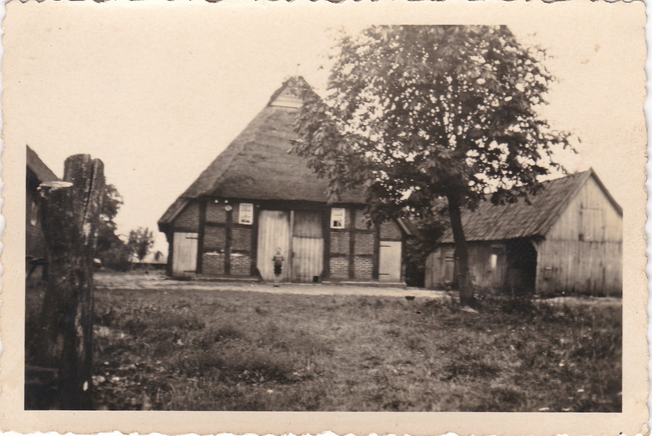 Heuerhaus Coldewey in Stuhr (Kreismuseum Syke CC BY-NC-SA)