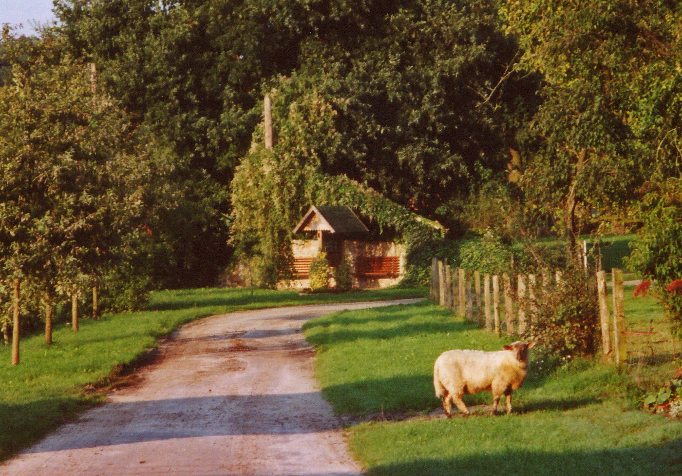 Schafzucht und Wolle (Kreismuseum Syke CC BY-NC-SA)