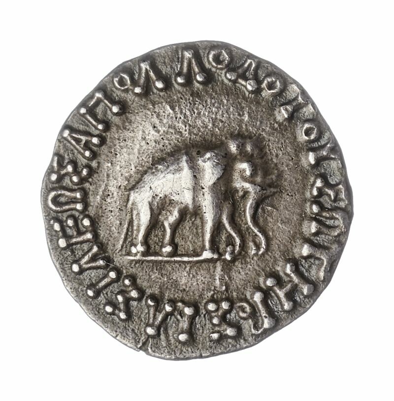 Drachme des Apollodotos I. von Baktrien (Museum August Kestner CC BY-NC-SA)