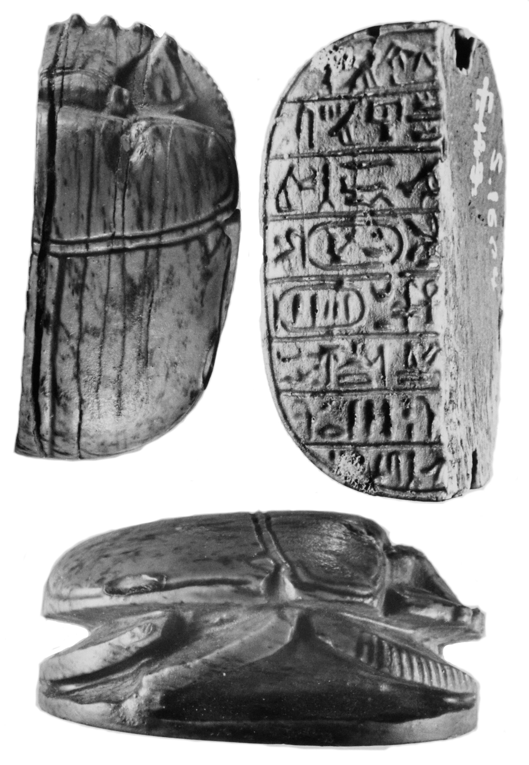 Skarabäus in Gedenken an Löwenjagden des Pharaos Amenhotep III. (Museum August Kestner CC BY-NC-SA)