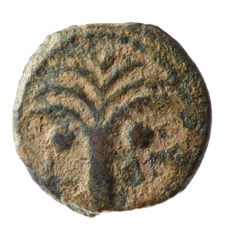 Prutah, wahrscheinlich aus der Zeit des Coponius (Museum August Kestner CC BY-NC-SA)