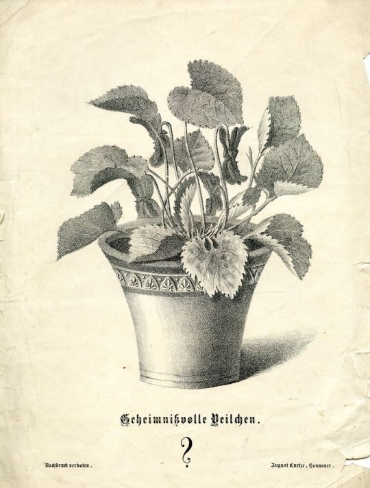 Lithografie: „Geheimnisvolle Veilchen“ (Historisches Museum Hannover CC BY-NC-SA)