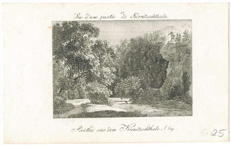 Bäume im Kirnitzschtal (Schlossmuseum Jever CC BY-NC-SA)