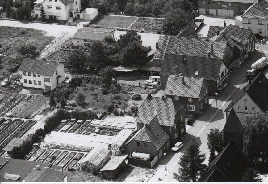Luftbild ehenalige Gärtnerei in der „Langen Straße“ (Rodenberg) 1975 (Stadt Rodenberg CC BY-NC-SA)