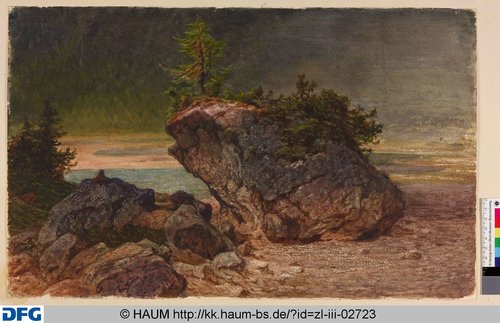 http://diglib.hab.de/varia/haumzeichnungen/zl-iii-02723/max/000001.jpg (Herzog Anton Ulrich-Museum RR-F)