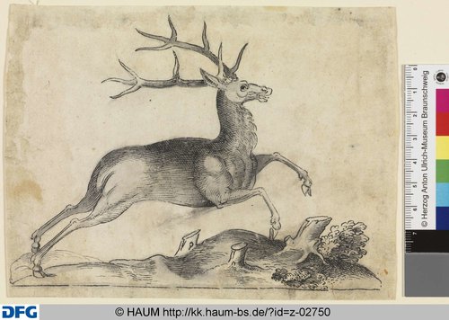 http://diglib.hab.de/varia/haumzeichnungen/z-02750/max/000001.jpg (Herzog Anton Ulrich-Museum RR-F)