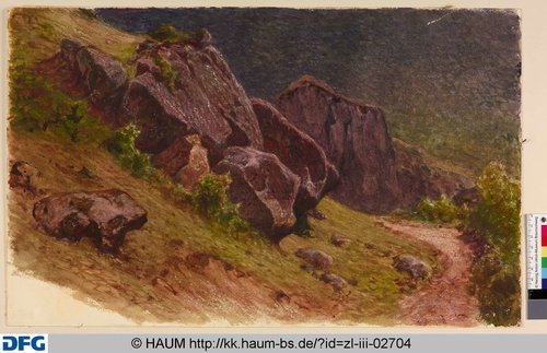 http://diglib.hab.de/varia/haumzeichnungen/zl-iii-02704/max/000001.jpg (Herzog Anton Ulrich-Museum RR-F)
