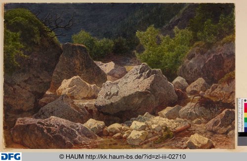 http://diglib.hab.de/varia/haumzeichnungen/zl-iii-02710/max/000001.jpg (Herzog Anton Ulrich-Museum RR-F)