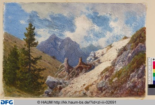 http://diglib.hab.de/varia/haumzeichnungen/zl-iii-02691/max/000001.jpg (Herzog Anton Ulrich-Museum RR-F)