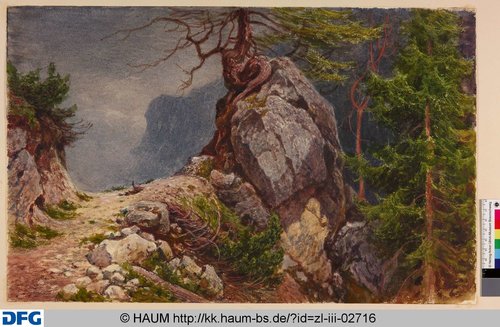 http://diglib.hab.de/varia/haumzeichnungen/zl-iii-02716/max/000001.jpg (Herzog Anton Ulrich-Museum RR-F)