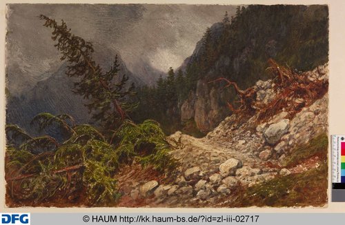 http://diglib.hab.de/varia/haumzeichnungen/zl-iii-02717/max/000001.jpg (Herzog Anton Ulrich-Museum RR-F)