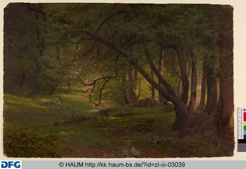http://diglib.hab.de/varia/haumzeichnungen/zl-iii-03039/max/000001.jpg (Herzog Anton Ulrich-Museum RR-F)