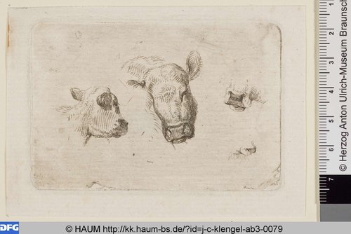 http://diglib.hab.de/varia/haum/j-c-klengel-ab3-0079/max/000001.jpg (Herzog Anton Ulrich-Museum RR-F)