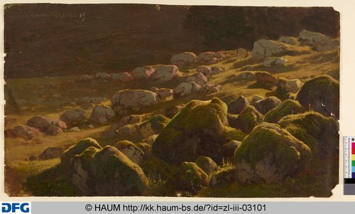 http://diglib.hab.de/varia/haumzeichnungen/zl-iii-03101/max/000001.jpg (Herzog Anton Ulrich-Museum RR-F)