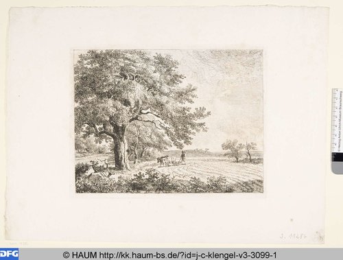 http://diglib.hab.de/varia/haum/j-c-klengel-v3-3099-1/max/000001.jpg (Herzog Anton Ulrich-Museum RR-F)