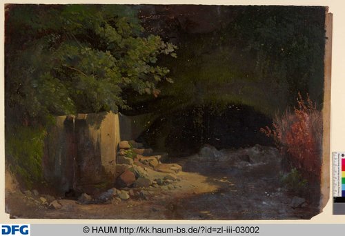 http://diglib.hab.de/varia/haumzeichnungen/zl-iii-03002/max/000001.jpg (Herzog Anton Ulrich-Museum RR-F)