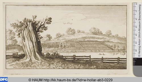 http://diglib.hab.de/varia/haum/w-hollar-ab3-0229/max/000001.jpg (Herzog Anton Ulrich-Museum RR-F)