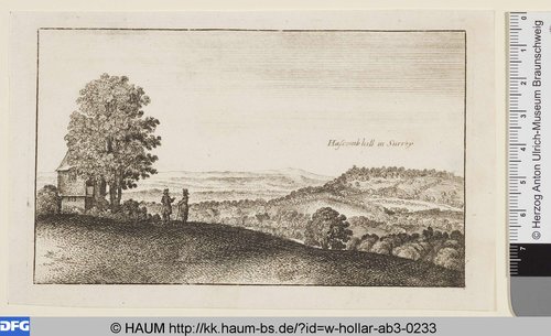 http://diglib.hab.de/varia/haum/w-hollar-ab3-0233/max/000001.jpg (Herzog Anton Ulrich-Museum RR-F)