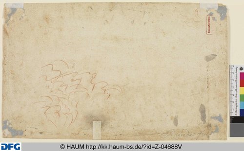 http://diglib.hab.de/varia/haumzeichnungen/z-04688v/max/000001.jpg (Herzog Anton Ulrich-Museum RR-F)