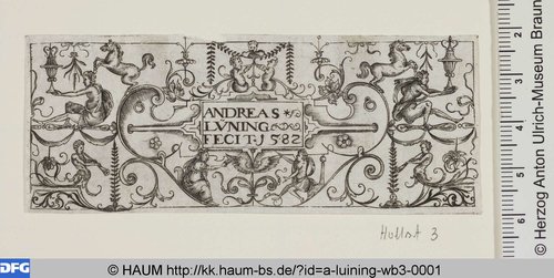 http://diglib.hab.de/varia/haum/a-luining-wb3-0001/max/000001.jpg (Herzog Anton Ulrich-Museum RR-F)