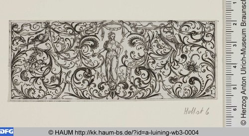 http://diglib.hab.de/varia/haum/a-luining-wb3-0004/max/000001.jpg (Herzog Anton Ulrich-Museum RR-F)