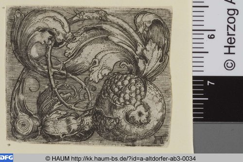 http://diglib.hab.de/varia/haum/a-altdorfer-ab3-0034/max/000001.jpg (Herzog Anton Ulrich-Museum RR-F)