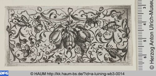http://diglib.hab.de/varia/haum/a-luining-wb3-0014/max/000001.jpg (Herzog Anton Ulrich-Museum RR-F)