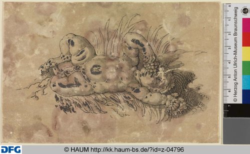 http://diglib.hab.de/varia/haumzeichnungen/z-04796/max/000001.jpg (Herzog Anton Ulrich-Museum RR-F)