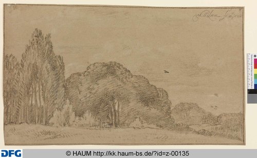 http://diglib.hab.de/varia/haumzeichnungen/z-00135/max/000001.jpg (Herzog Anton Ulrich-Museum RR-F)