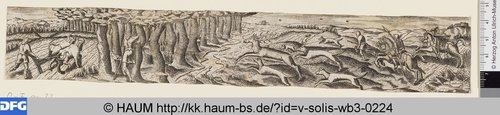 http://diglib.hab.de/varia/haum/v-solis-wb3-0224/max/000001.jpg (Herzog Anton Ulrich-Museum RR-F)