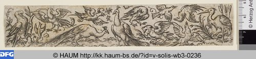 http://diglib.hab.de/varia/haum/v-solis-wb3-0236/max/000001.jpg (Herzog Anton Ulrich-Museum RR-F)