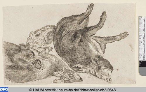 http://diglib.hab.de/varia/haum/w-hollar-ab3-0648/max/000001.jpg (Herzog Anton Ulrich-Museum RR-F)