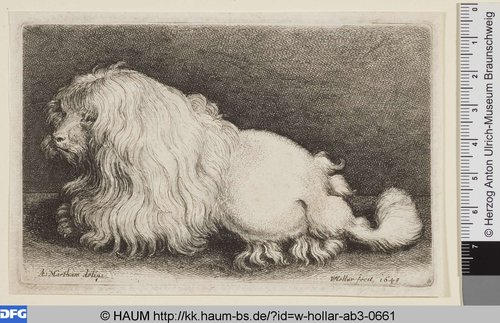 http://diglib.hab.de/varia/haum/w-hollar-ab3-0661/max/000001.jpg (Herzog Anton Ulrich-Museum RR-F)