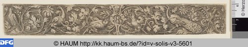http://diglib.hab.de/varia/haum/v-solis-v3-5601/max/000001.jpg (Herzog Anton Ulrich-Museum RR-F)