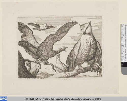 http://diglib.hab.de/varia/haum/w-hollar-ab3-0688/max/000001.jpg (Herzog Anton Ulrich-Museum RR-F)