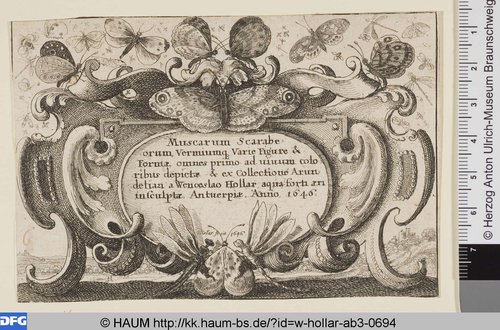 http://diglib.hab.de/varia/haum/w-hollar-ab3-0694/max/000001.jpg (Herzog Anton Ulrich-Museum RR-F)