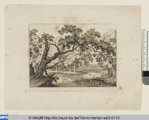 http://diglib.hab.de/varia/haum/m-merian-wb3-0110/max/000001.jpg (Herzog Anton Ulrich-Museum RR-F)
