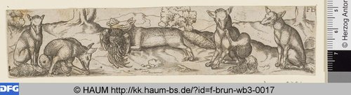 http://diglib.hab.de/varia/haum/f-brun-wb3-0017/max/000001.jpg (Herzog Anton Ulrich-Museum RR-F)