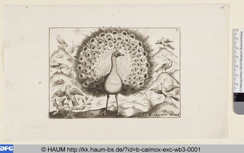 http://diglib.hab.de/varia/haum/b-caimox-exc-wb3-0001/max/000001.jpg (Herzog Anton Ulrich-Museum RR-F)