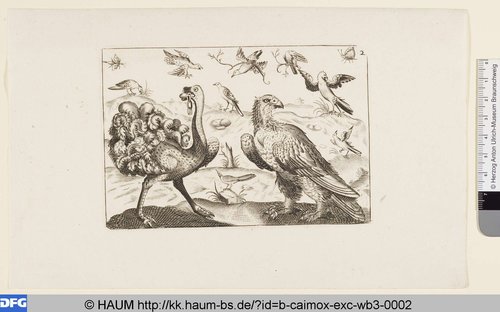 http://diglib.hab.de/varia/haum/b-caimox-exc-wb3-0002/max/000001.jpg (Herzog Anton Ulrich-Museum RR-F)