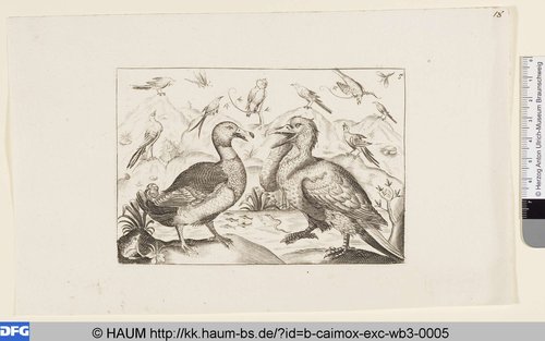 http://diglib.hab.de/varia/haum/b-caimox-exc-wb3-0005/max/000001.jpg (Herzog Anton Ulrich-Museum RR-F)